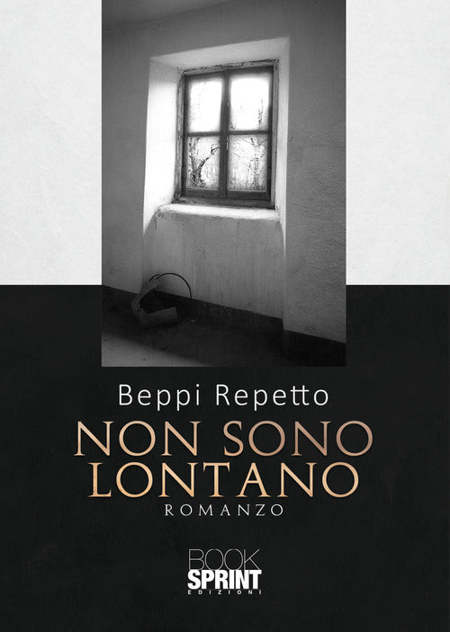 Cover of Non sono lontano