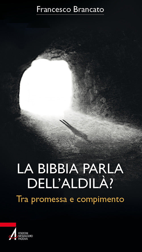 Cover of Bibbia parla dell'aldilà? Tra promessa e compimento