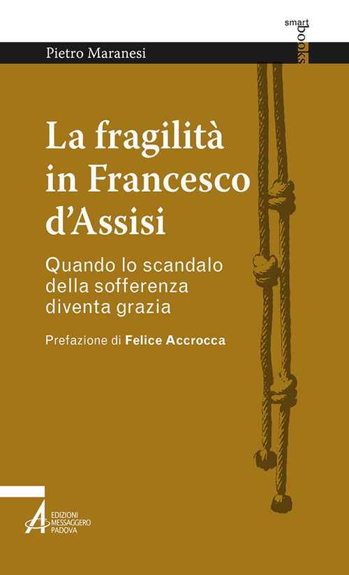 Cover of fragilità in Francesco d'Assisi. Quando lo scandalo della sofferenza diventa grazia