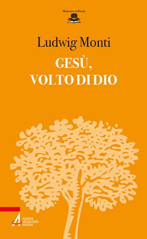 Cover of Gesù, volto di Dio
