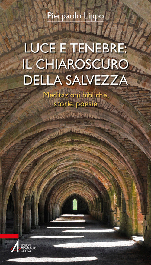 Luce e tenebre: il chiaroscuro della salvezza. Meditazioni bibliche, storie, poesie