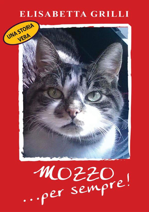 Cover of Mozzo... per sempre!