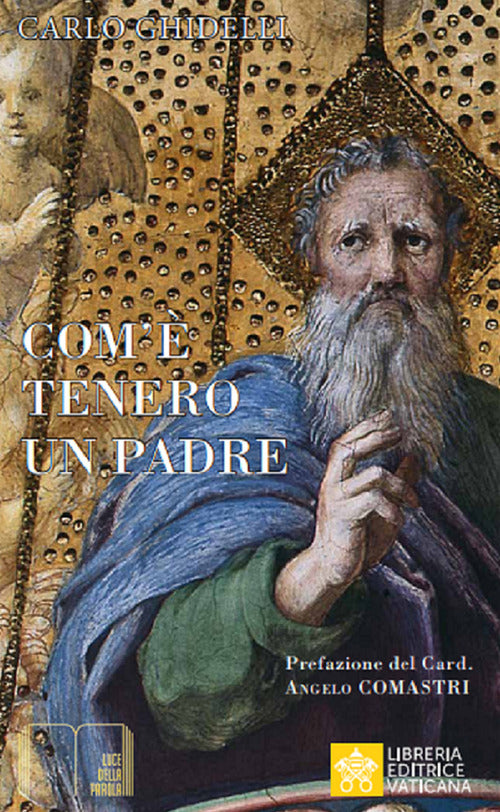 Cover of Come è tenero un Padre. L’icona della tenerezza nella Bibbia