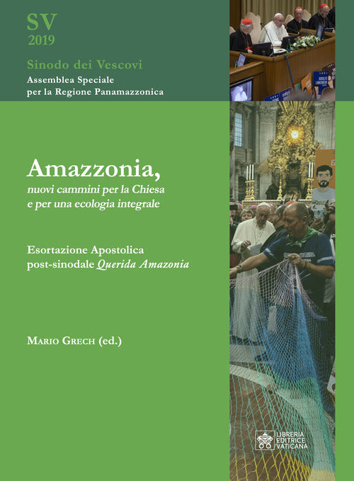 Cover of Amazzonia, nuovi cammini per la Chiesa e per una ecologia integrale. Esortazione apostolica post-sinodale Querida Amazonia