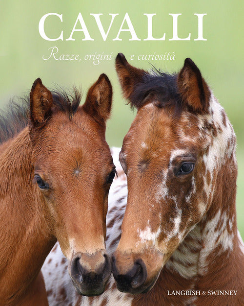 Cavalli. Razze, origini e curiosit
