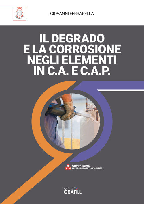 Cover of degrado e la corrosione negli elementi in c.a. e c.a.p.
