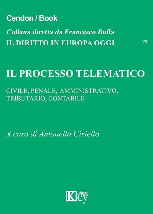 Cover of processo telematico. Civile, penale, amministrativo, tributario, contabile