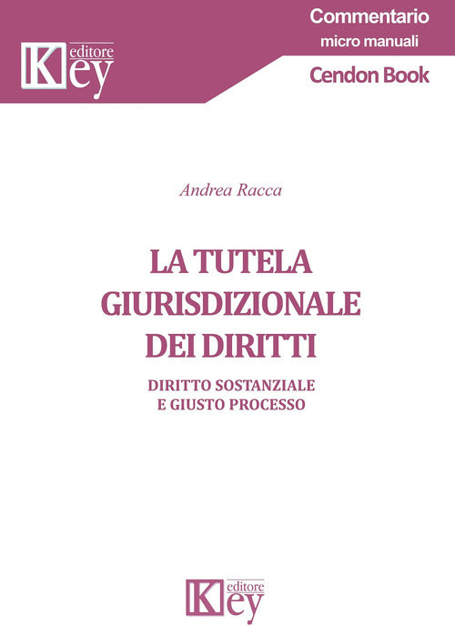 Cover of tutela giurisdizionale dei diritti. Diritto sostanziale e giusto processo