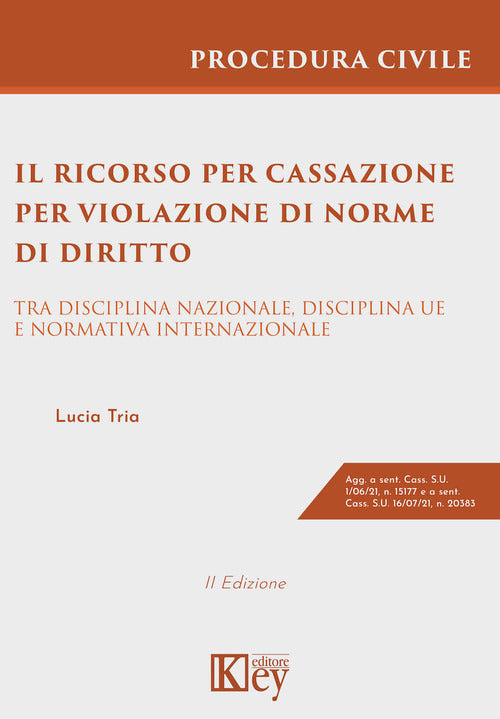 Cover of ricorso per cassazione per violazione di norme di diritto. Tra disciplina nazionale, disciplina UE e normativa internazionale