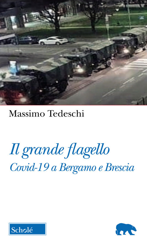 Cover of Grande flagello. Covid-19 a Bergamo e Brescia