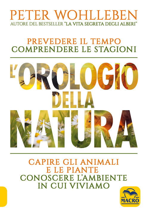 Cover of orologio della natura. Prevedere il tempo comprendere le stagioni capire gli animali e le piante conoscere l'ambiente in cui viviamo