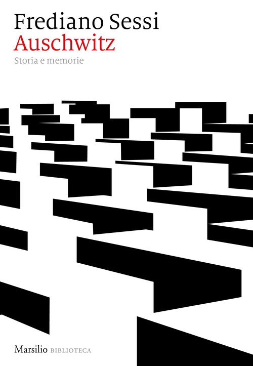 Cover of Auschwitz. Storia e memorie