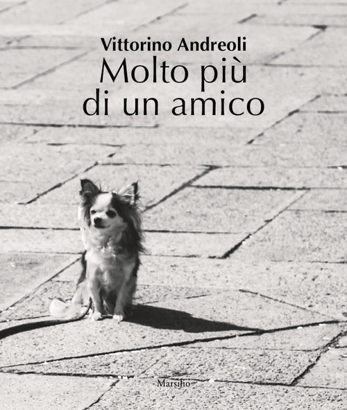Cover of Molto più di un amico