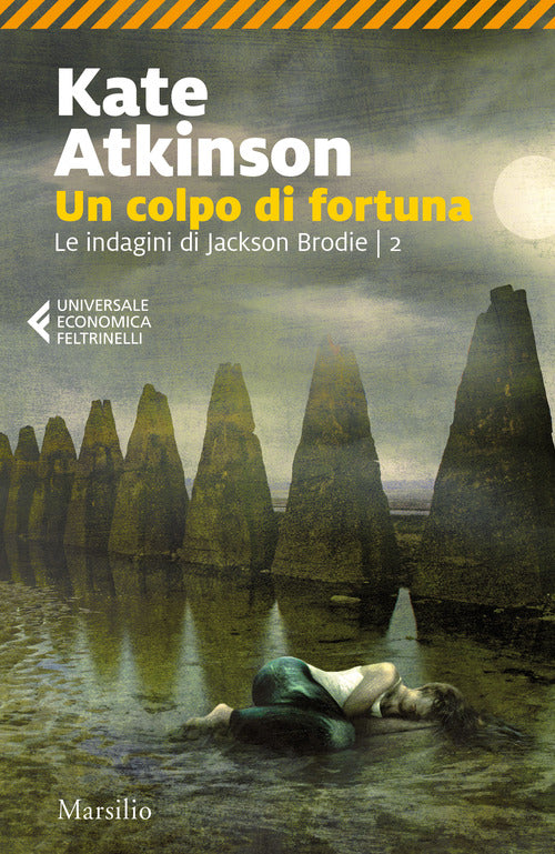 Cover of colpo di fortuna. Le indagini di jackson Brodie