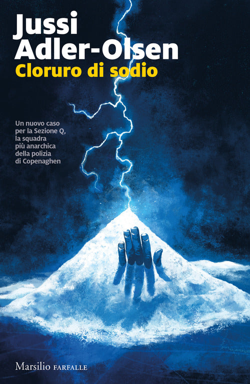 Cover of Cloruro di sodio. I casi della sezione Q