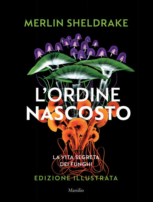 Cover of ordine nascosto