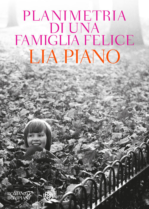 Cover of Planimetria di una famiglia felice