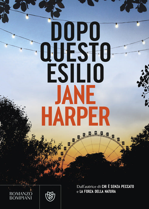 Cover of Dopo questo esilio