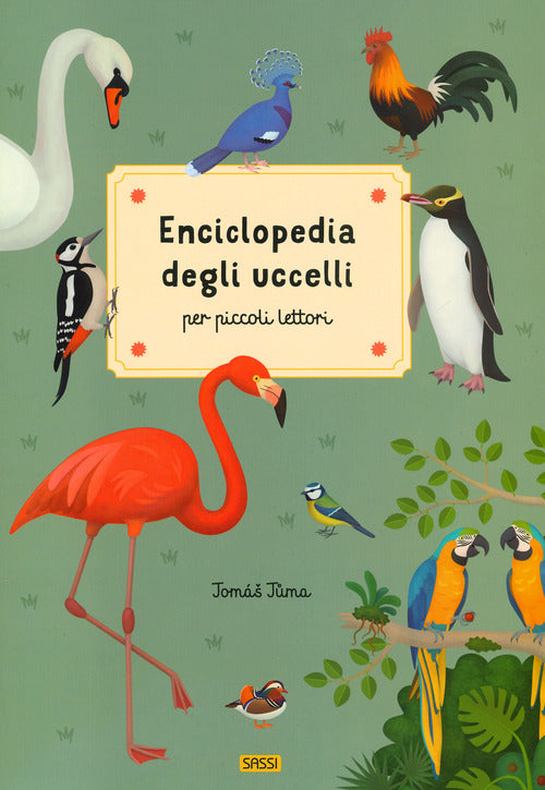 Cover of Enciclopedia degli uccelli per piccoli lettori