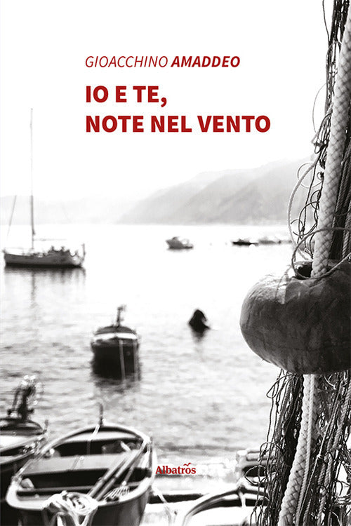 Cover of Io e te, note nel vento