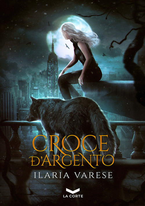 Cover of Croce d'argento. Winter Fe' saga