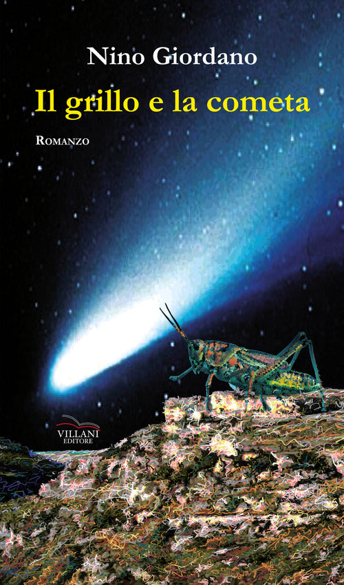Cover of grillo e la cometa