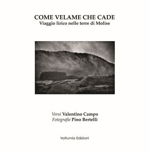 Cover of Come velame che cade. Viaggio lirico nelle terre di Molise
