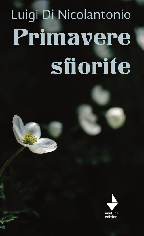 Cover of Primavere sfiorite