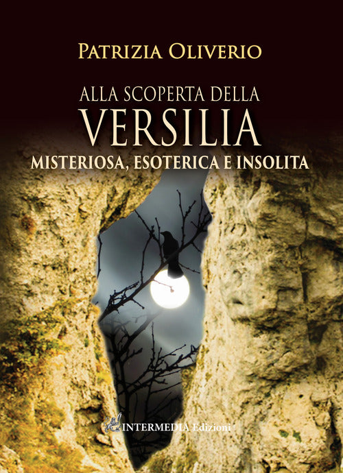 Cover of Alla scoperta della Versilia. Misteriosa, esoterica e insolita