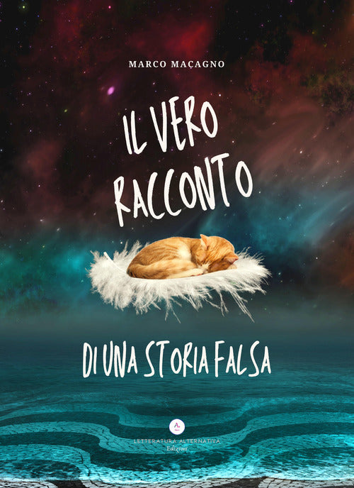 Cover of vero racconto di una storia falsa