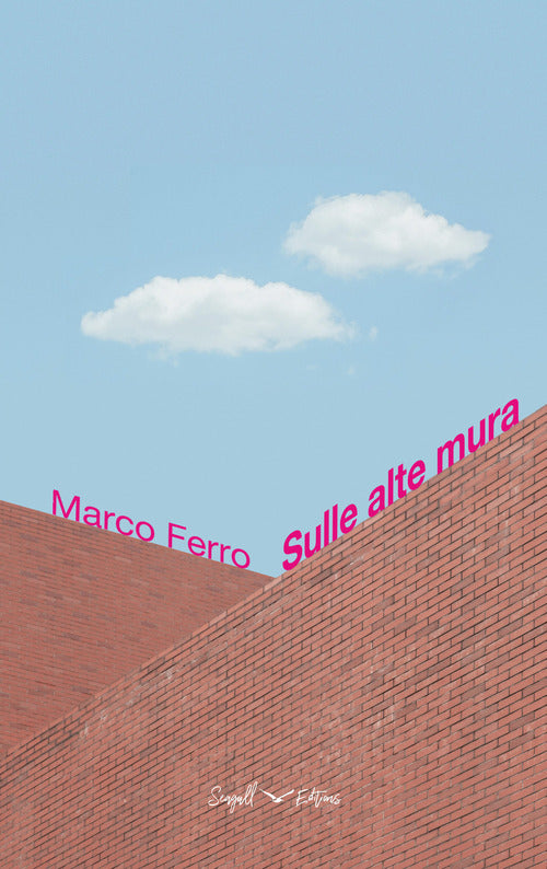 Cover of Sulle alte mura
