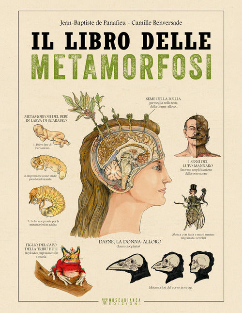 Cover of libro delle metamorfosi