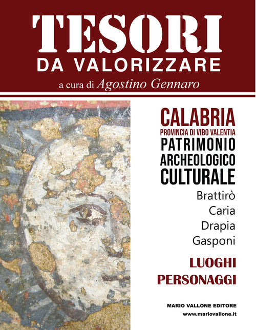 Cover of Tesori da valorizzare. Calabria, provincia di Vibo Valentia