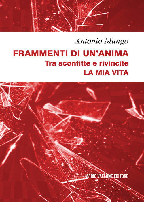 Cover of Frammenti di un'anima. Tra sconfitte e rivincite. La mia vita