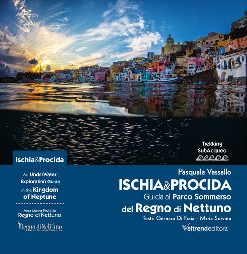 Cover of Ischia & Procida. Guida al Parco Sommerso del Regno di Nettuno-An UnderWater Exploration Guide in the Kingdom of Neptune