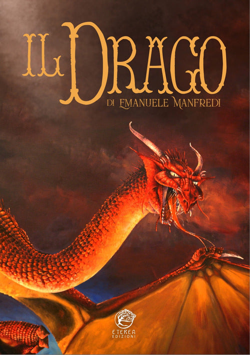 Cover of drago. artbook