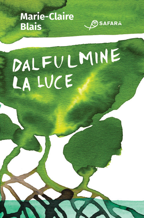 Cover of Dal fulmine la luce