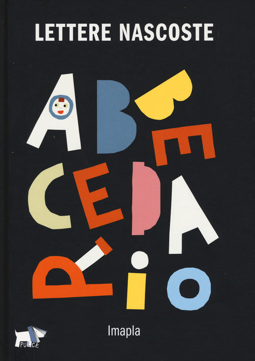 Cover of Lettere nascoste
