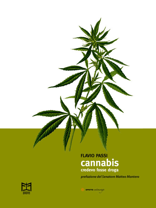 Cover of Cannabis. Credevo fosse droga