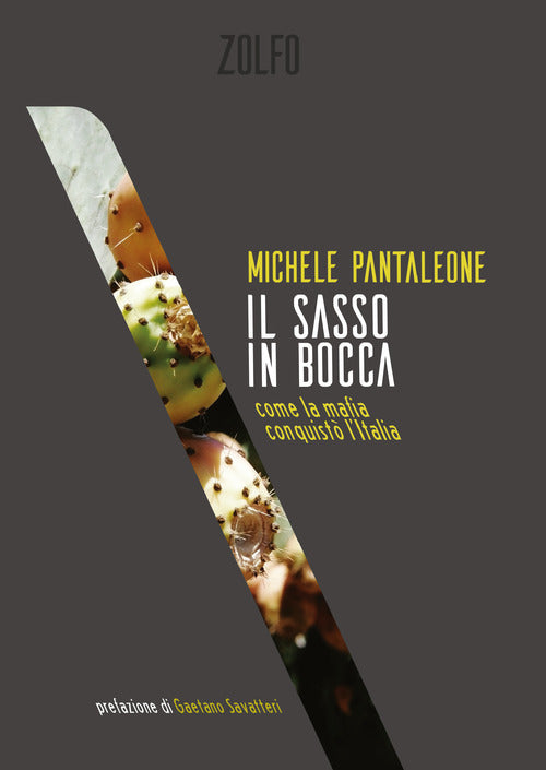 Cover of sasso in bocca. Come la mafia conquistò l’Italia