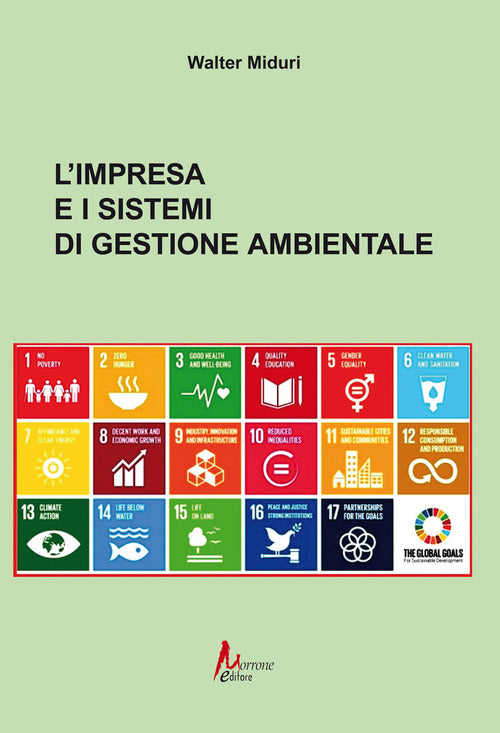 Cover of impresa e i sistemi di gestione ambientale
