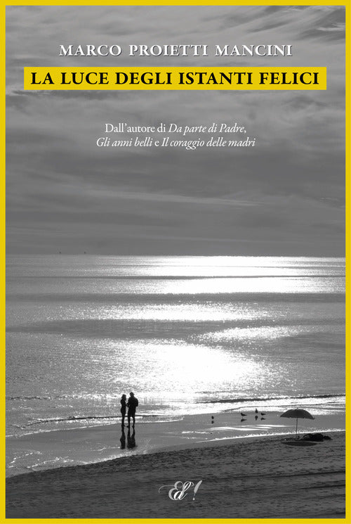 Cover of luce degli istanti felici