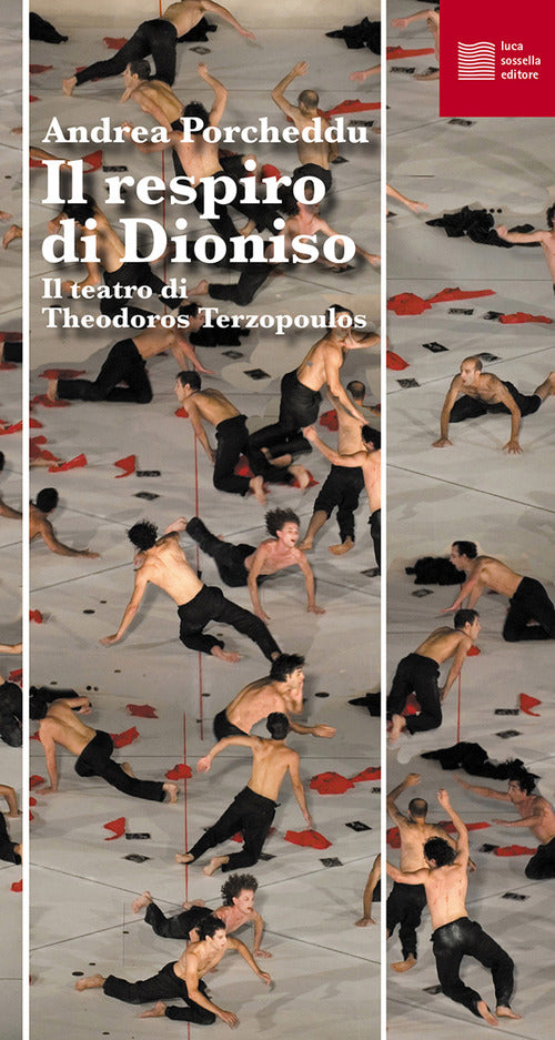 Cover of respiro di Dioniso. Il teatro di Theodoros Terzopoulos