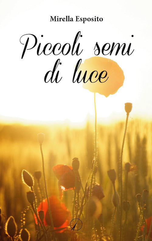 Piccoli semi di luce