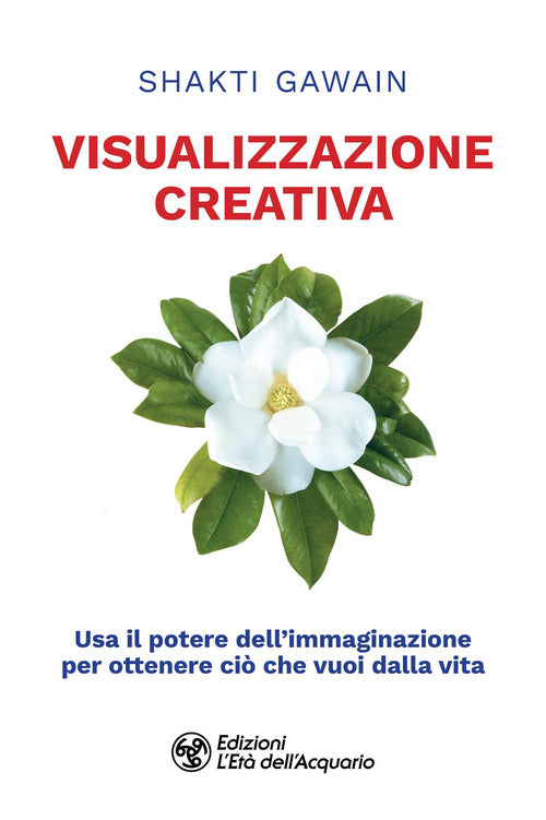 Visualizzazione creativa. Usa il potere dell'immaginazione per ottenere ciò che vuoi dalla vita