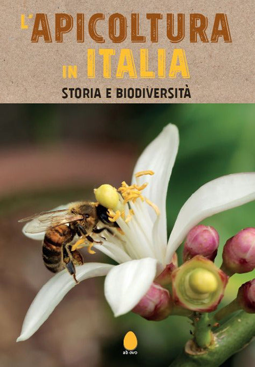 L'apicoltura in Italia. Storia e biodiversit