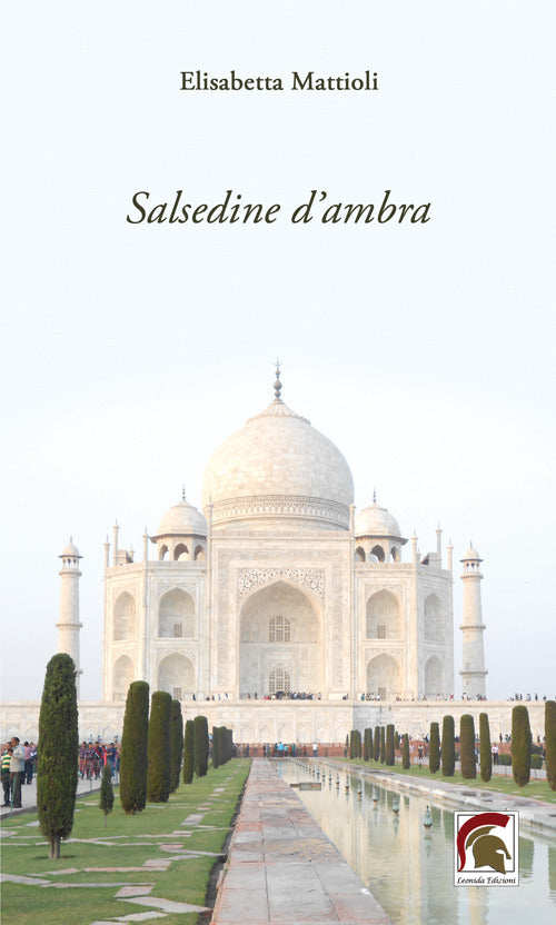Salsedine dambra