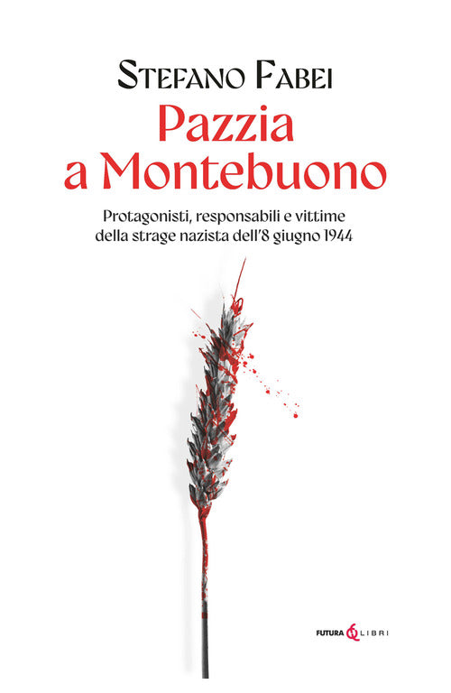 Pazzia a Montebuono. Protagonisti, responsabili e vittime della strage nazista dell'8 giugno 1944