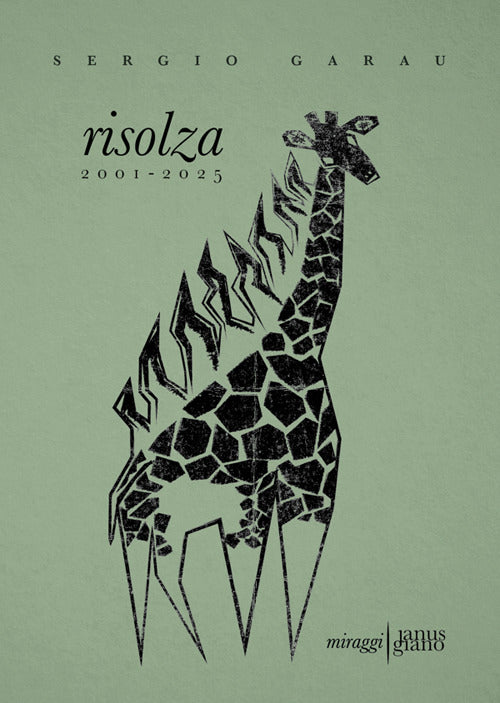 Risolza 2001-2025
