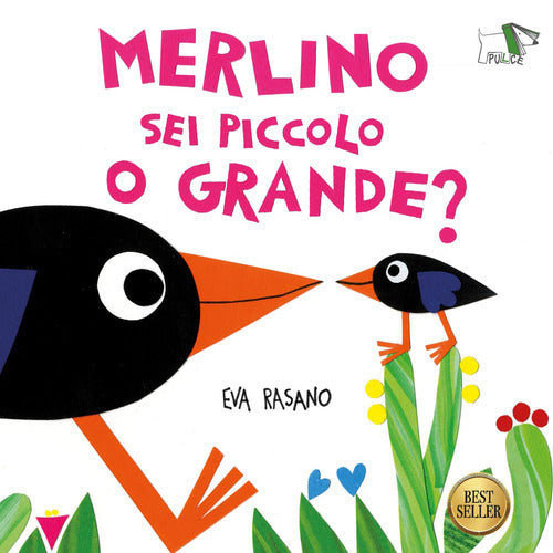 Merlino sei piccolo o grande?